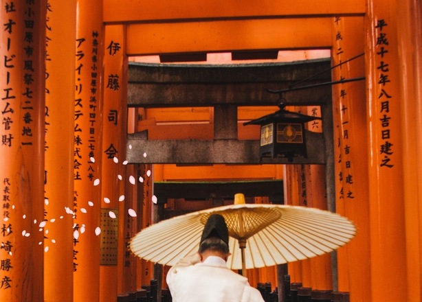 Bilety na  人魚Targ Japoński w Poznaniu